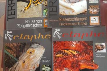 Books & Magazines kaufen und verkaufen Photo: Zeitschriften Elaphe zu verkaufen 