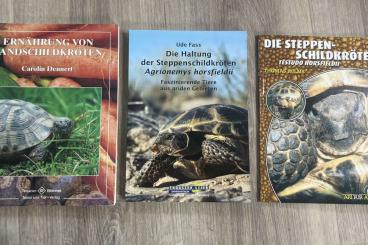 Tortoises kaufen und verkaufen Photo: Bücher , Ernährung, Agryonemis horsfieldii